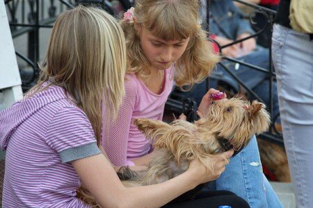 В Витебске прошла выставка собак. Фото Сергея Серебро