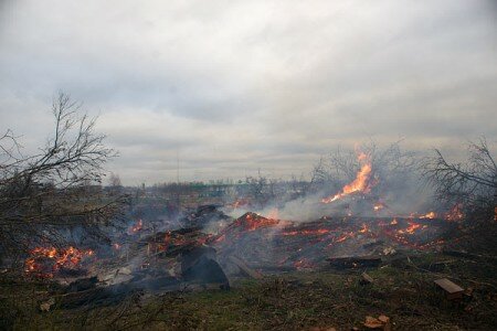 Под Витебском сожгли деревню Павловичи. Фото Сергея Серебро Под Витебском сожгли деревню Павловичи. Фото Сергея Серебро