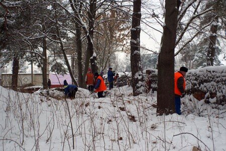 В Витебске в микрорайоне Зеленый городок сносят парники, косят по колено в снегу бурьян и укладывают в снегопад асфальт. Фото Сергея Серебро