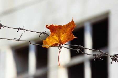 Подростковую исправительную колонию в Витебске планируют закрыть. Фото Сергея Серебро