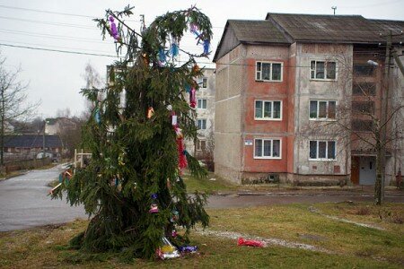 Новогодняя ёлка у дома №13 на 1-й Шумилинской улице в Витебске. Фото Сергея Серебро