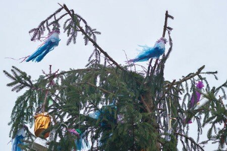 Новогодняя ёлка у дома №13 на 1-й Шумилинской улице в Витебске. Фото Сергея Серебро