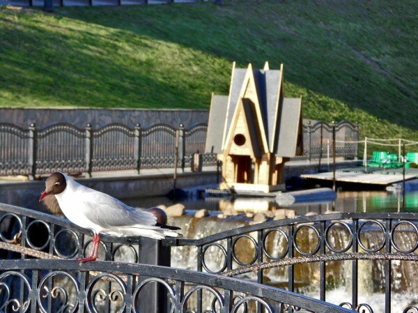 Фото Юрия Шепелева.