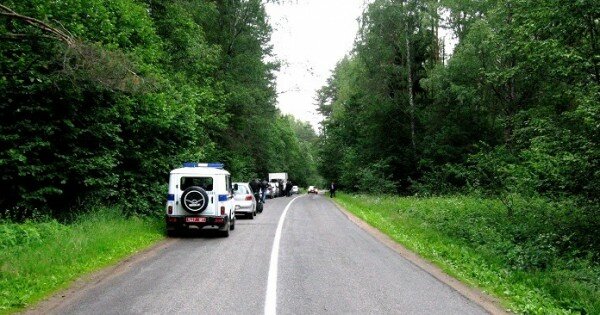 Завершено расследование жестокого убийства женщины, произошедшего в Витебском районе летом. Фото СК