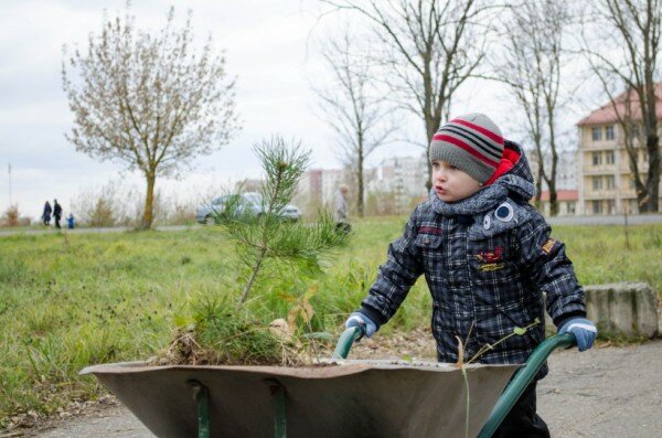 Акция «Самосад»: добровольцы высадили в Витебске около 400 деревьев. Фото Дмитрия Миртича Акция «Самосад»: добровольцы высадили в Витебске около 400 деревьев. Фото Дмитрия Миртича