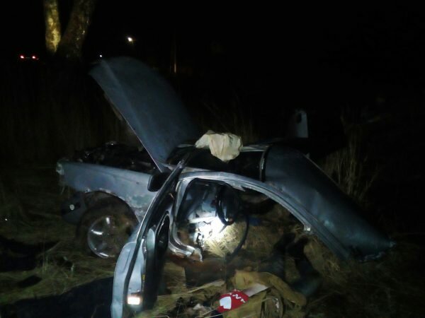 В Городокском районе пять человек погибли в ДТП — легковушка врезалась в дерево. Фото ГАИ