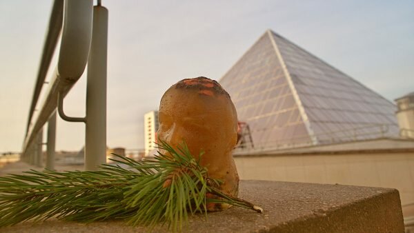 Пирамида, наверное. подошла бы для Ленина из холодца. Фото Сергея Серебро