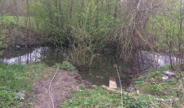 Сажалка в которой утонула девочка. Фото СК