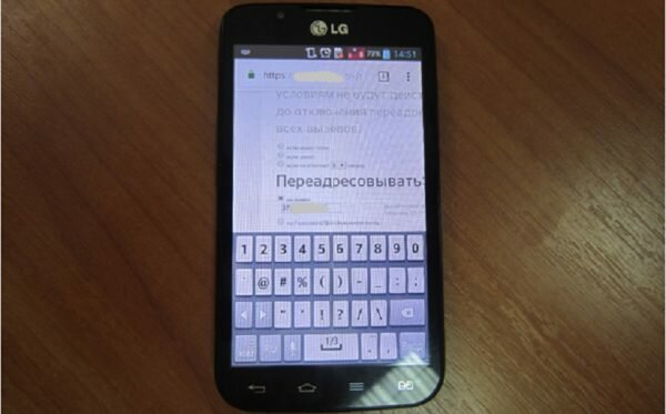 Витеблянин с помощью интернет-помощника сотового оператора несанкционированно заходил в личный кабинет абонентов и настраивал там переадресацию вызовов. Фото СК