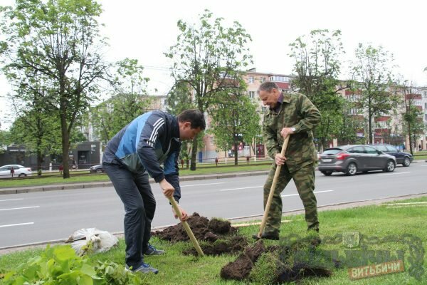 Виктор Николайкин на субботнике. Фото Владимира Андреева / «Витьбичи»