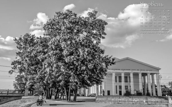 Кампутарныя шпалеры на працоўны стол з фота пейзажаў Віцебска і календаром на чэрвень 2018 года для чытачоў "ННВ": квітнеючая акацыя на плошчы 1000-годдзя ля тэатра імя Якуба Коласа. Фота Сержука Серабро