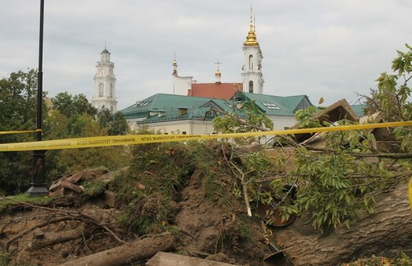 В Витебске спилили раскидистую иву у памятника Пушкину. Фото Юрия Шепелева