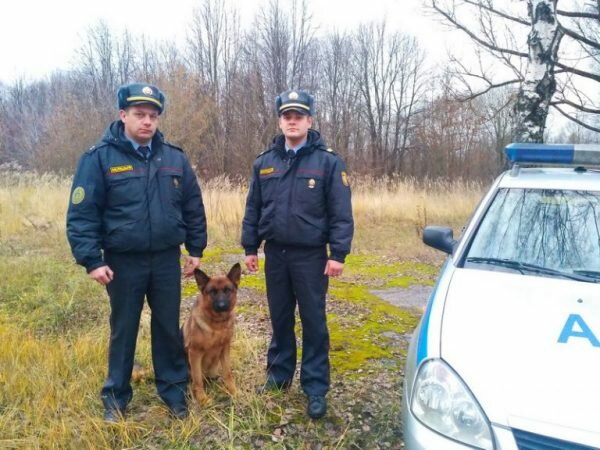 Найти заблудившуюся под Витебском женщину помогла служебная собака Жанет. Фото Андрея Данильченко / http://ohrana.gov.by