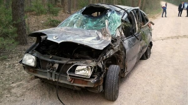 В Шумилинском районе компактэн влетел в заросли, троих человек выбросило из салона, четвертого доставали спасатели. Фото ГАИ