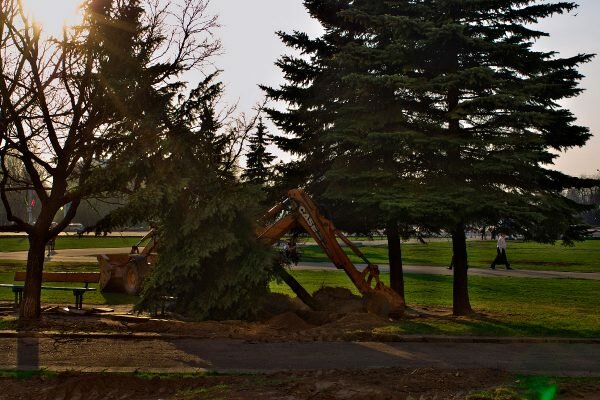 Уничтожение сквера на площади Победы в Витебске, 2009 год. фото Сергея Серебро