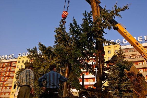 Уничтожение сквера на площади Победы в Витебске, 2009 год. фото Сергея Серебро