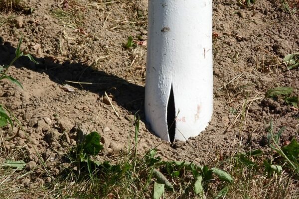 В Витебске установили указатель с надписью «Витьба». Фото Юрия Шепелева