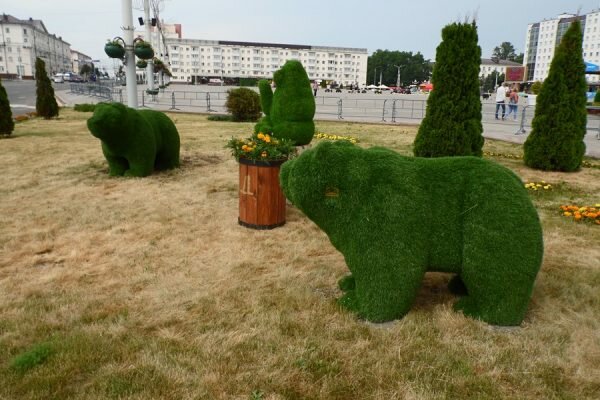 Три мишки из искусственного газона появились на площади Победы Витебске неподалеку от выхода из подземного перехода. Фото Юрия Шепелева