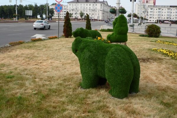Три мишки из искусственного газона появились на площади Победы Витебске неподалеку от выхода из подземного перехода. Фото Юрия Шепелева