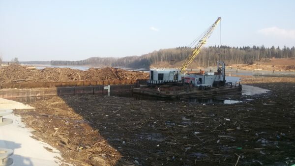 Горы мусора прибивает к плотине Витебской ГЭС. Впечатляющие фото опубликованы «Витебскэнерго»