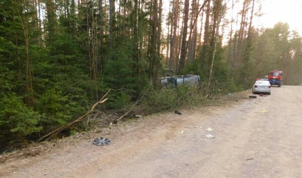 В Шумилинском районе компактэн влетел в заросли, троих человек выбросило из салона, четвертого доставали спасатели. Фото СК