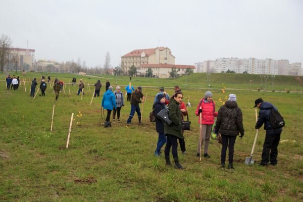 В Витебске чиновники и горожане вместе посадили деревья возле Ледового дворца. Фоторепортаж. Фото Игоря Матвеева
