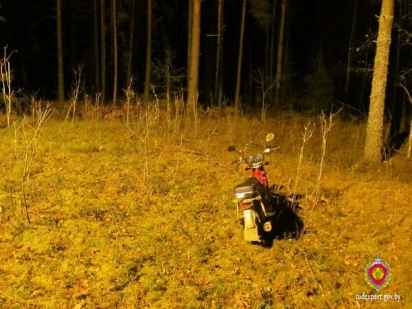 25 октября на опушке леса в Шумилинском районе ударом ножа был убит 37-летний мужчина, который собирал ягоды с женой. Фото СК