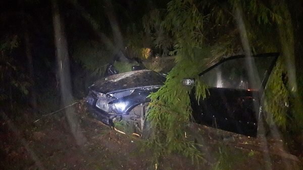 Компания молодежи на «BMW» разбилась под Полоцком, погиб подросток. Фото ГАИ