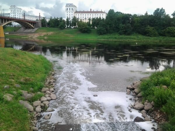 Странную пену заметили в устье Витьбы, от реки исходил неприятный запах. Фото Юрия Шепелева