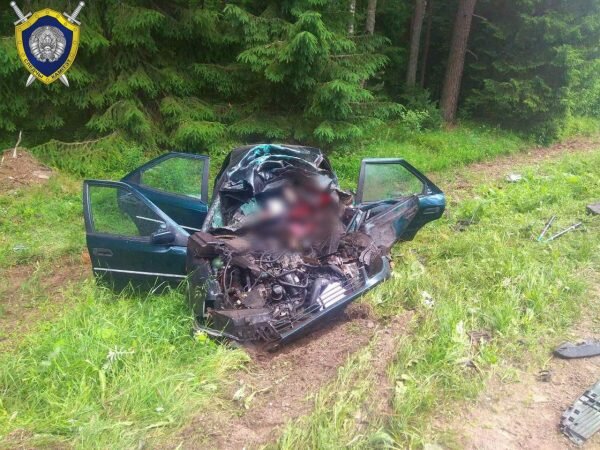 Женщина погибла в результате столкновения «Citroen Xantia» и «Nissan Patrol» в Докшицком районе. Фото СК