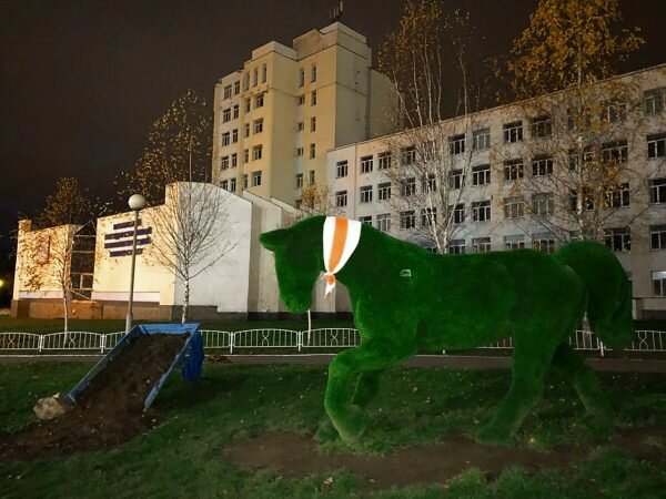 Бело-красно-белый флаг на фигуре лошадки у корпуса ВГТУ. Фото t.me/vitebsk_power