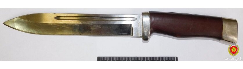 Нож, изъятый у дебошира. Фото СК