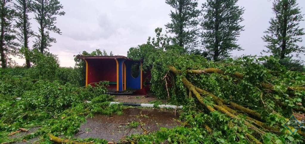 Последствия сильного ветра в Витебской области. Фото МЧС