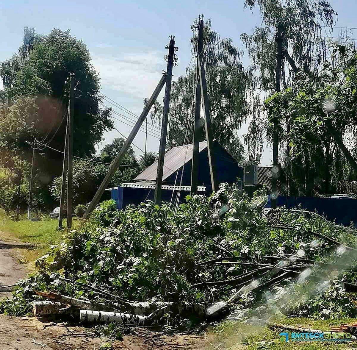 Последствия сильного ветра в Витебской области. Фото Витебскэнерго