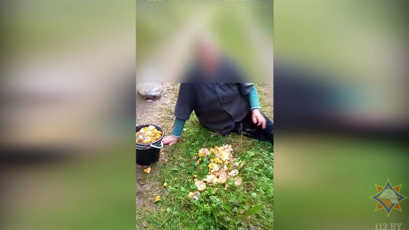 73-летняя пенсионерка заблудилась в лесу в Докшицком районе. Фото МЧС